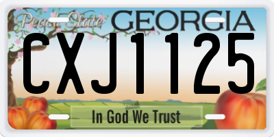 GA license plate CXJ1125