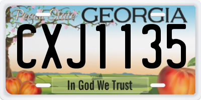 GA license plate CXJ1135