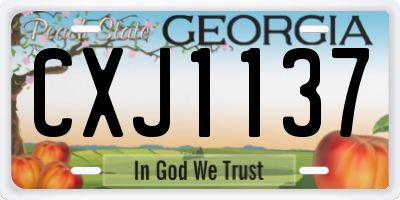 GA license plate CXJ1137