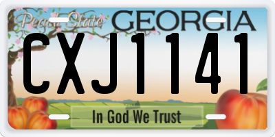 GA license plate CXJ1141