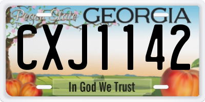 GA license plate CXJ1142