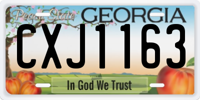 GA license plate CXJ1163