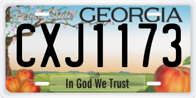GA license plate CXJ1173