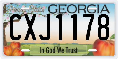 GA license plate CXJ1178