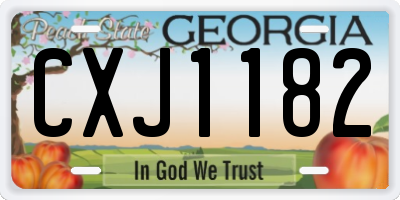 GA license plate CXJ1182