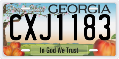 GA license plate CXJ1183