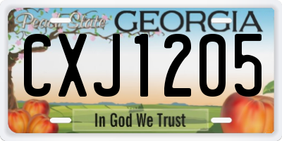 GA license plate CXJ1205
