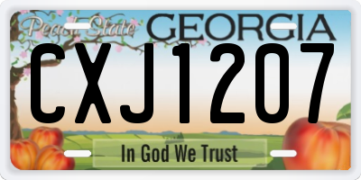 GA license plate CXJ1207