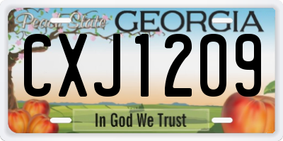 GA license plate CXJ1209