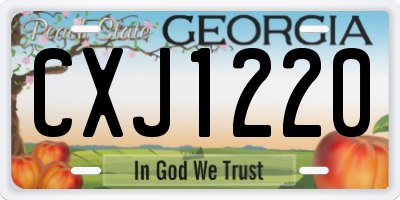 GA license plate CXJ1220