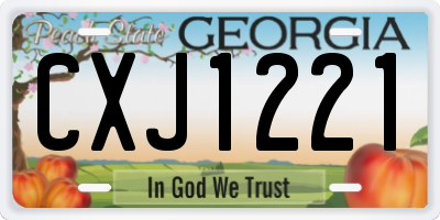 GA license plate CXJ1221