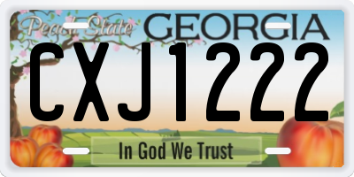 GA license plate CXJ1222