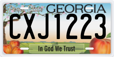 GA license plate CXJ1223