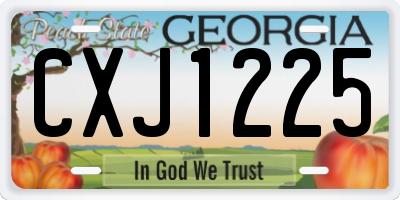 GA license plate CXJ1225
