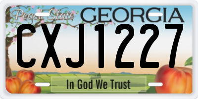 GA license plate CXJ1227