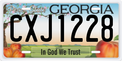 GA license plate CXJ1228