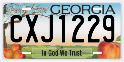 GA license plate CXJ1229