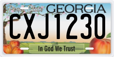 GA license plate CXJ1230