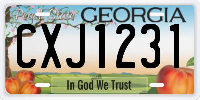 GA license plate CXJ1231