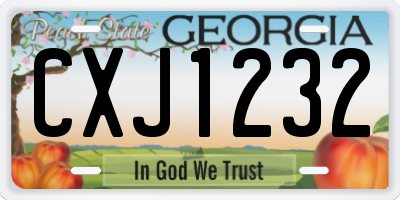 GA license plate CXJ1232