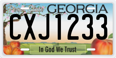 GA license plate CXJ1233