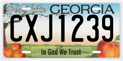 GA license plate CXJ1239