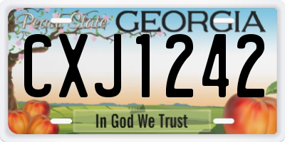 GA license plate CXJ1242
