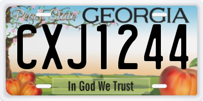 GA license plate CXJ1244