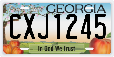 GA license plate CXJ1245