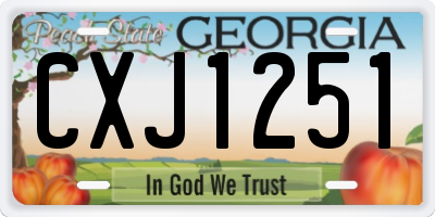 GA license plate CXJ1251