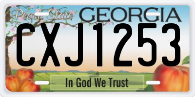 GA license plate CXJ1253