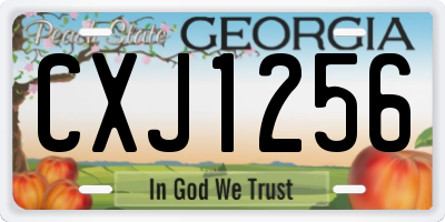 GA license plate CXJ1256