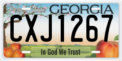 GA license plate CXJ1267