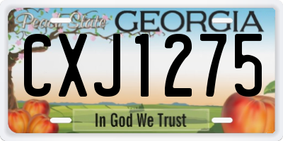 GA license plate CXJ1275