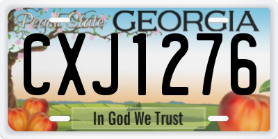 GA license plate CXJ1276