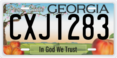 GA license plate CXJ1283
