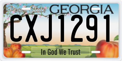 GA license plate CXJ1291