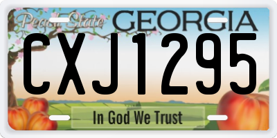 GA license plate CXJ1295