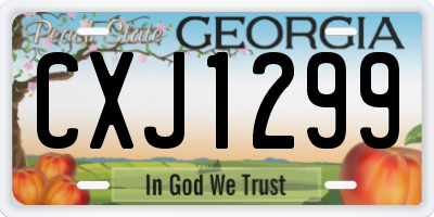 GA license plate CXJ1299