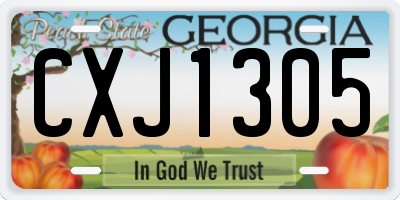 GA license plate CXJ1305