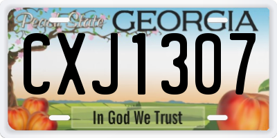 GA license plate CXJ1307