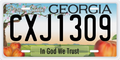 GA license plate CXJ1309