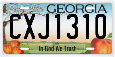GA license plate CXJ1310
