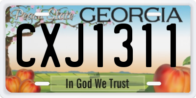 GA license plate CXJ1311