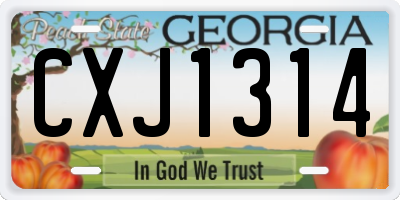 GA license plate CXJ1314
