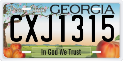 GA license plate CXJ1315