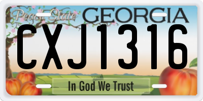 GA license plate CXJ1316