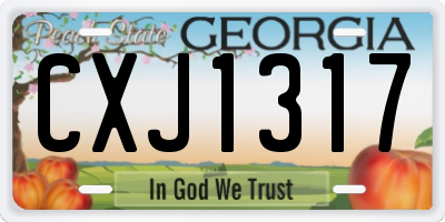 GA license plate CXJ1317