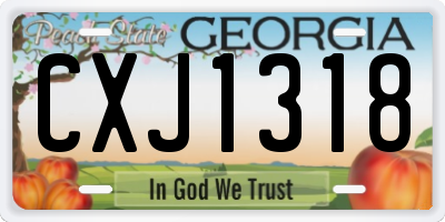GA license plate CXJ1318
