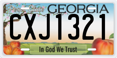 GA license plate CXJ1321